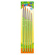 Ensemble de brosses, 5e.