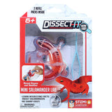 Disséquer-il dissèque une salamandre avec une loupe - afbeelding 1