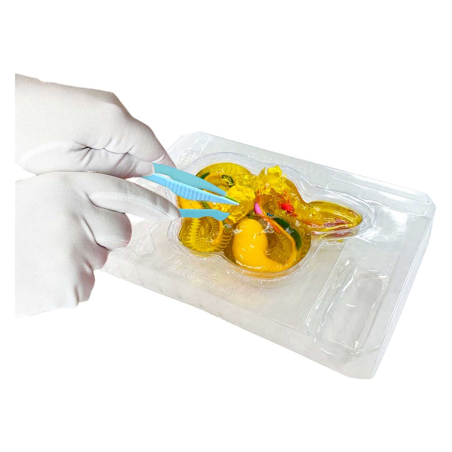 Dissect-it dissèque un méga coffret cadeau serpent à sonnette