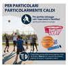 HANE DE BASKETBALL HUDORA avec Netje