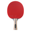Ensemble de tennis de table Hudora