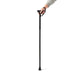 Stick de marche de vitulité Black pliable