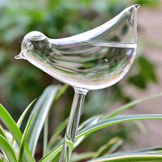 Distributeur d'eau en verre autres marques oiseau 2 pièces
