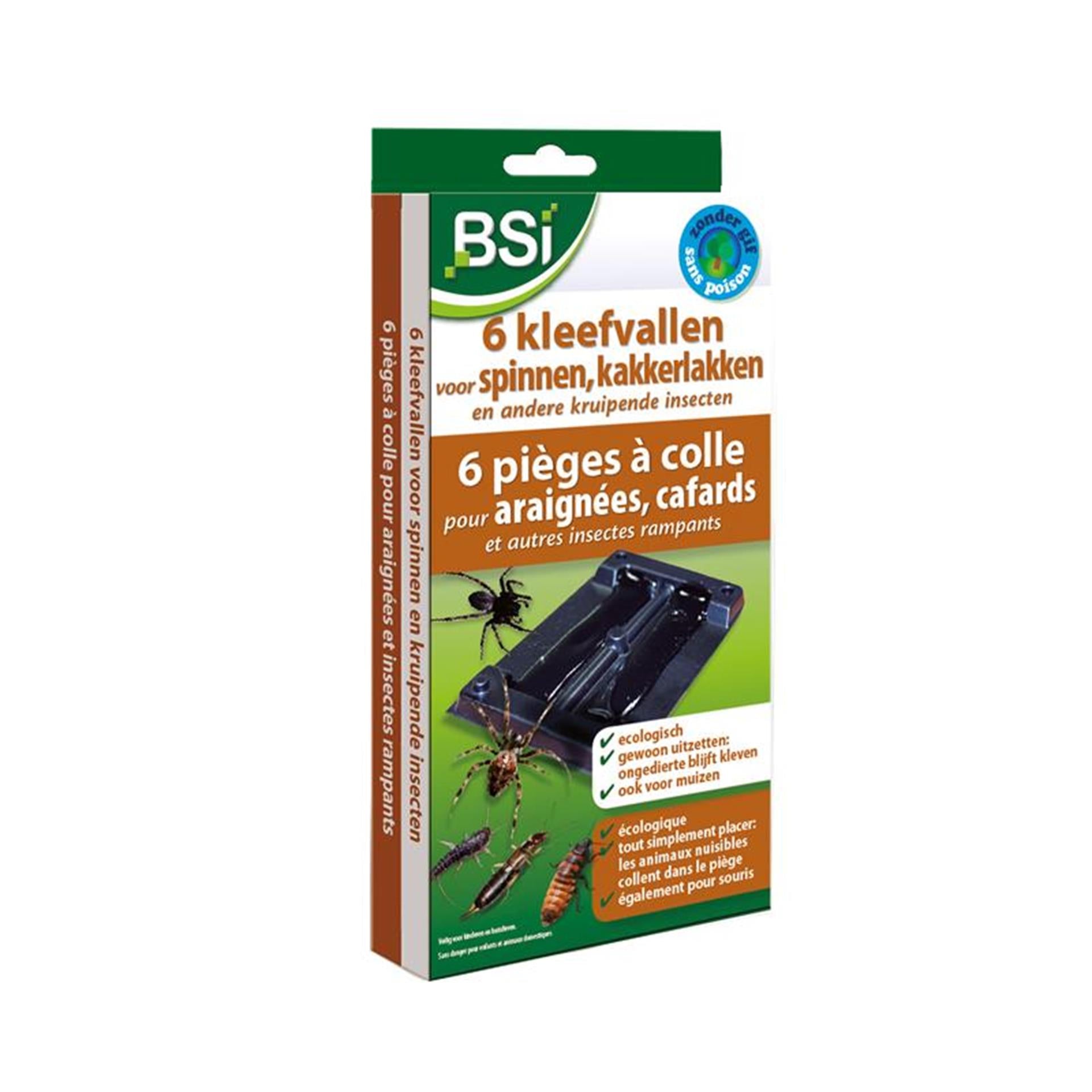 Bsi 6 pièges collants pour araignées