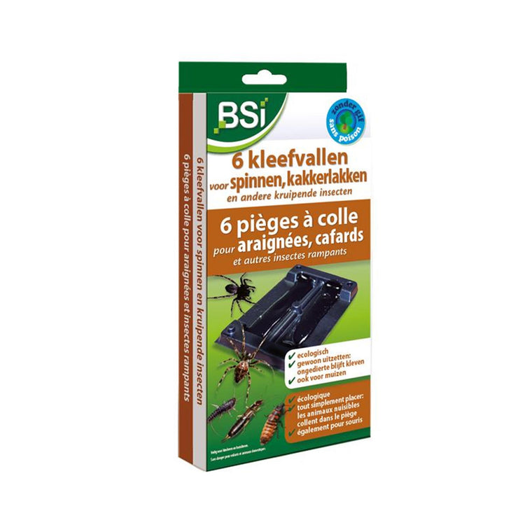Bsi 6 pièges collants pour araignées