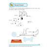 Livre d'exercices deltas avec autocollants beaux exercices de calcul (6-7 ans)