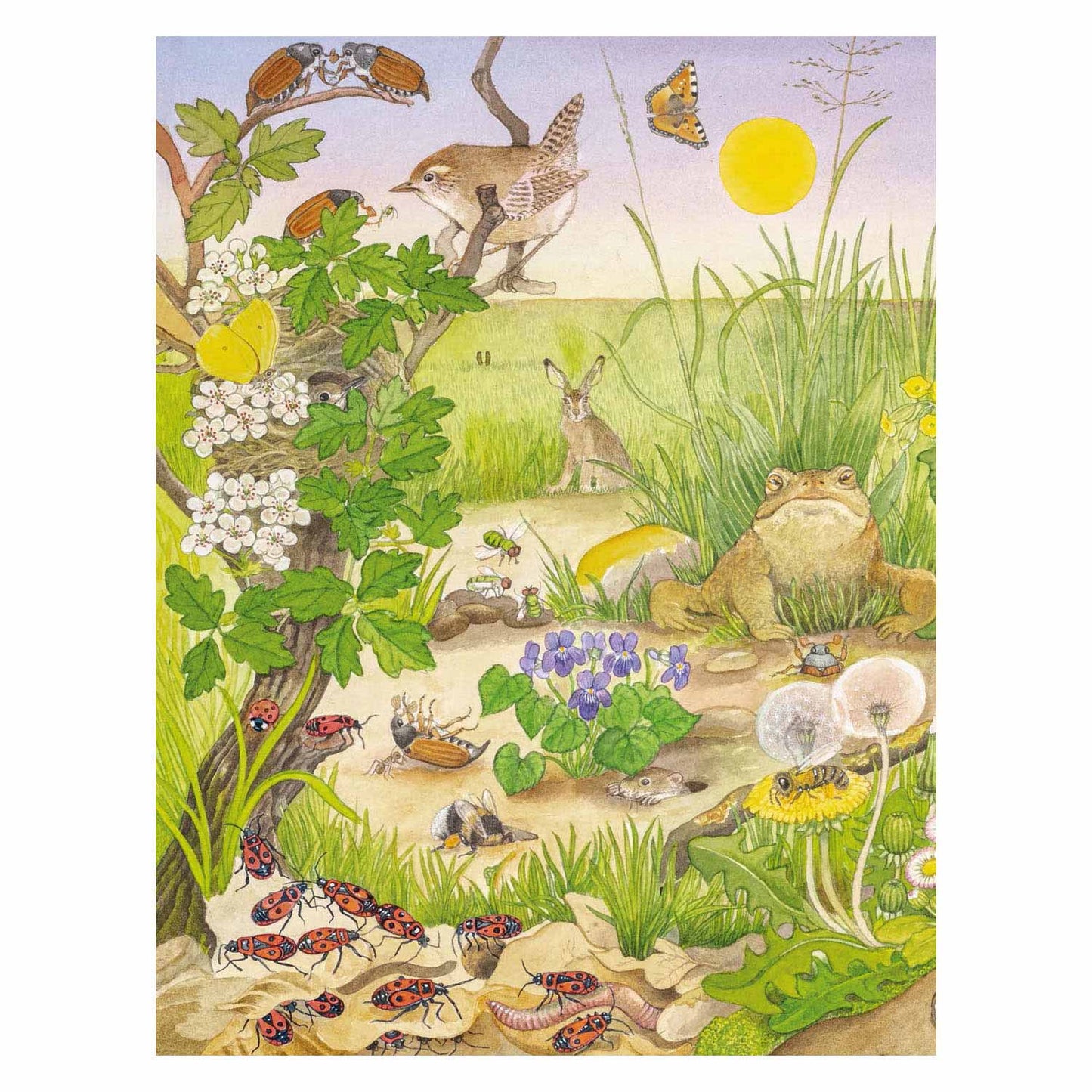 Livre de recherche et de recherche des Deltas - chatouiller les animaux