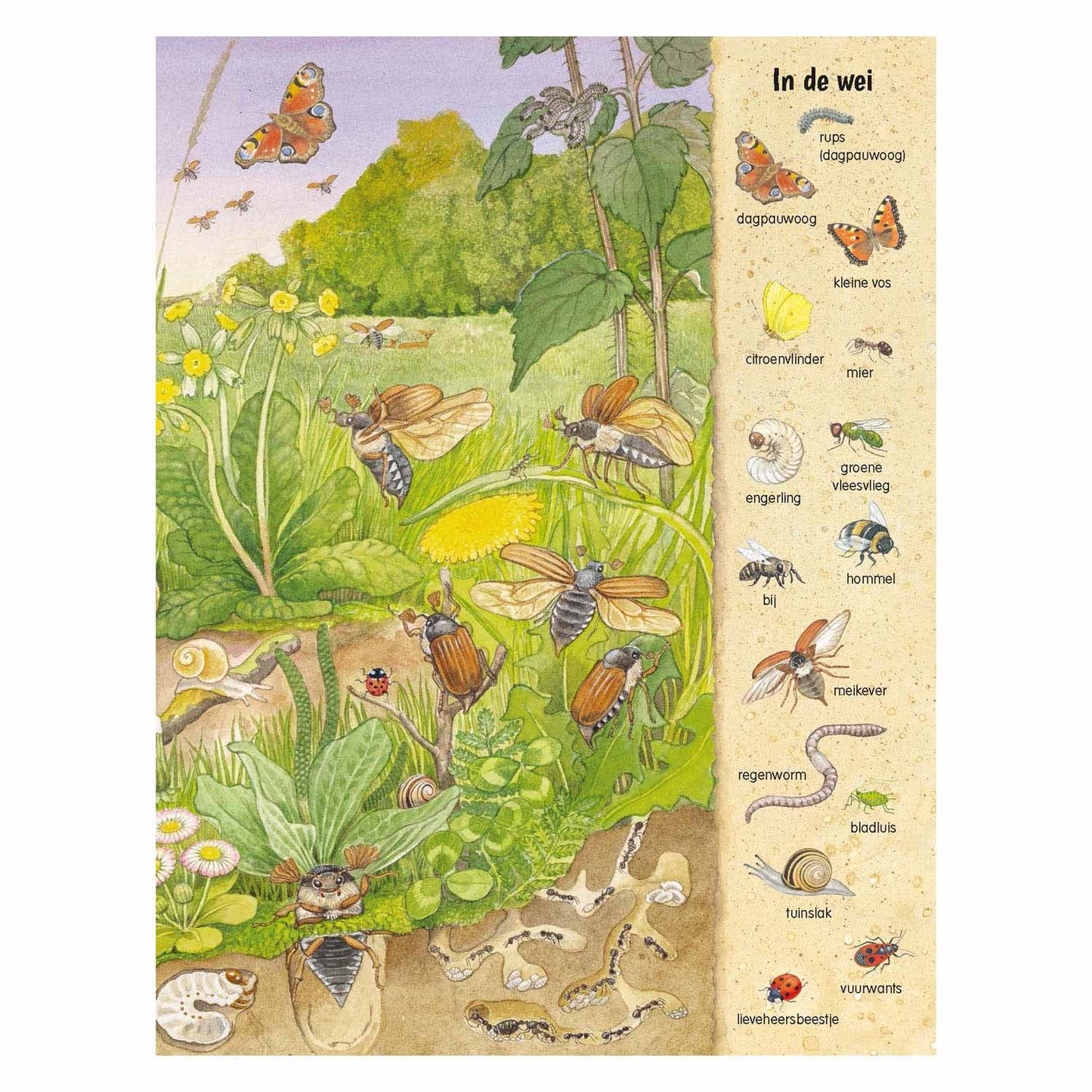 Livre de recherche et de recherche des Deltas - chatouiller les animaux