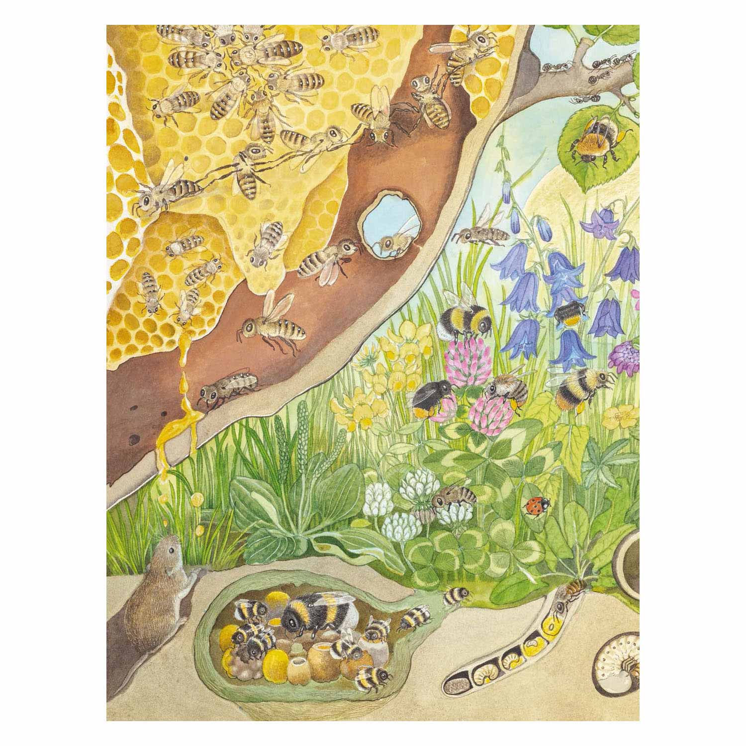 Livre de recherche et de recherche des Deltas - chatouiller les animaux