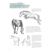 Les deltas apprennent à dessiner des chevaux étape par étape - afbeelding 3