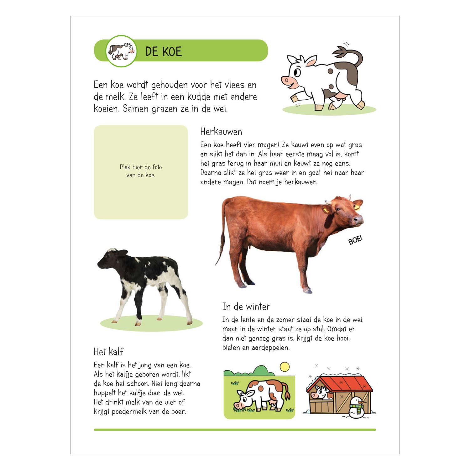 Livre d'autocollants - Animaux à la ferme