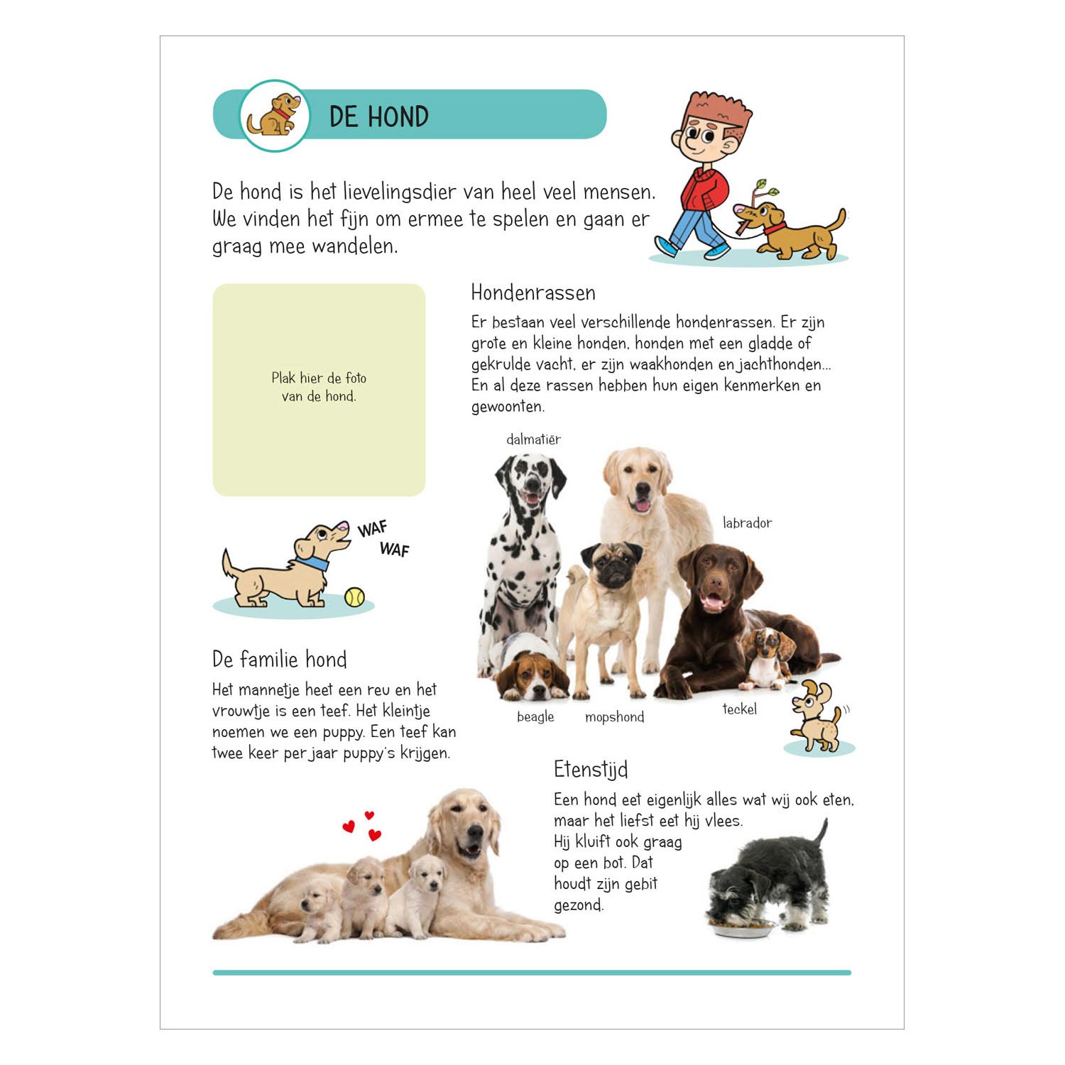 Livre d'autocollants - Animaux dans la maison et le jardin
