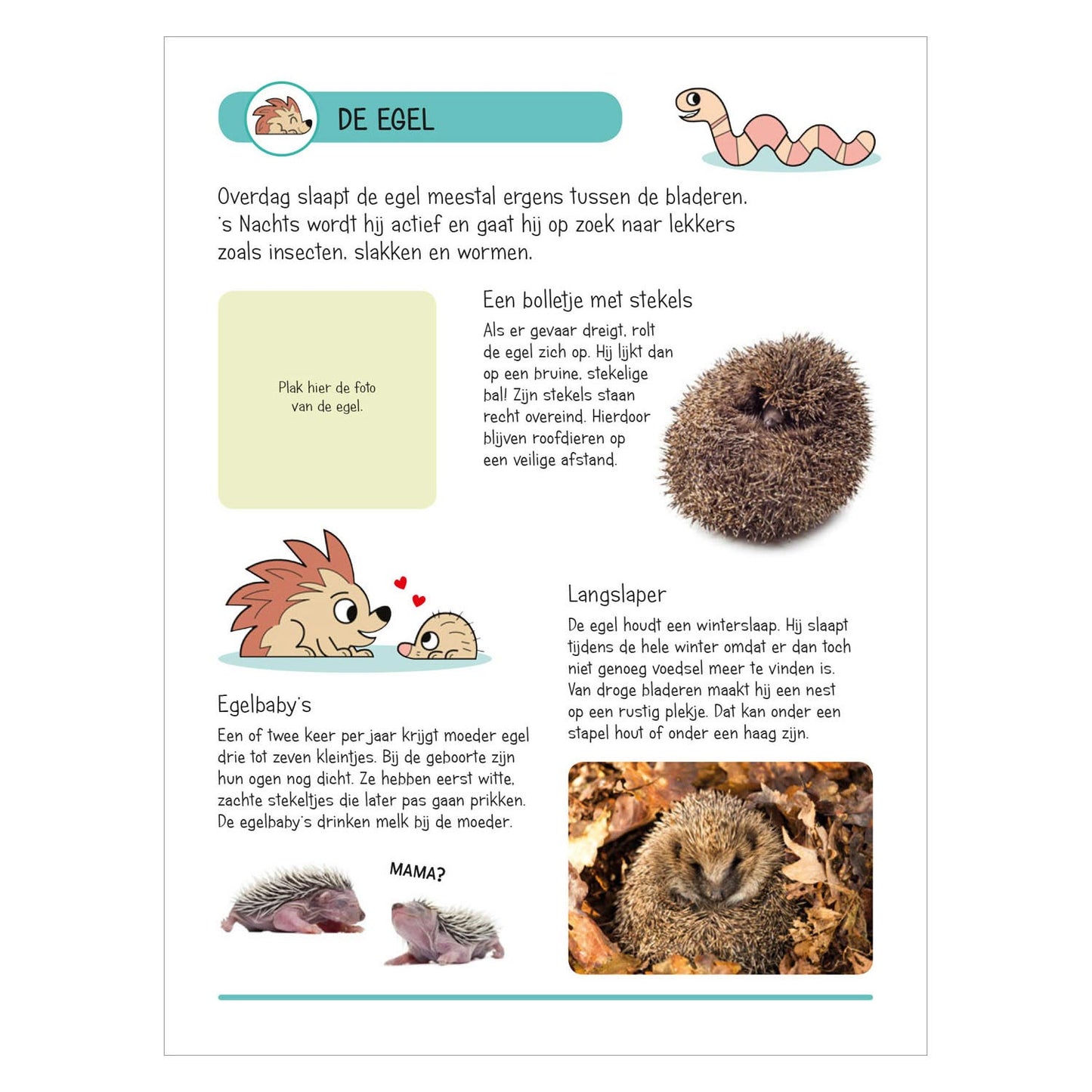 Livre d'autocollants - Animaux dans la maison et le jardin