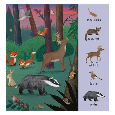 Deltas mon premier livre de recherche animaux du monde entier