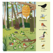 Deltas mon premier livre de recherche animaux dans la forêt - afbeelding 4