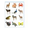 Livre de coloriage et d'autocollants Deltas Sweet Animals
