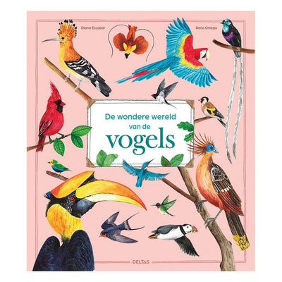 Deltas le monde merveilleux des oiseaux