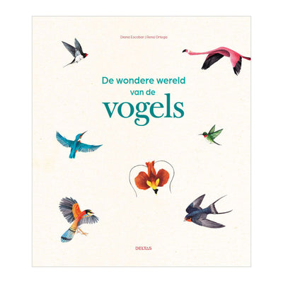 Deltas le monde merveilleux des oiseaux