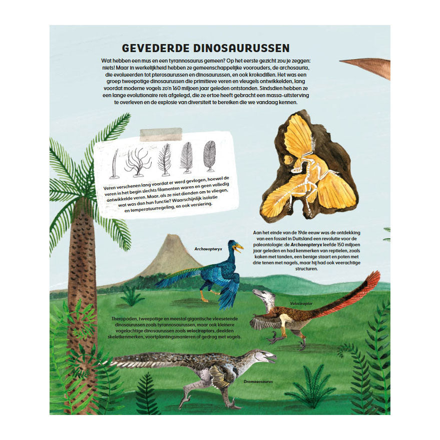 Deltas le monde merveilleux des oiseaux