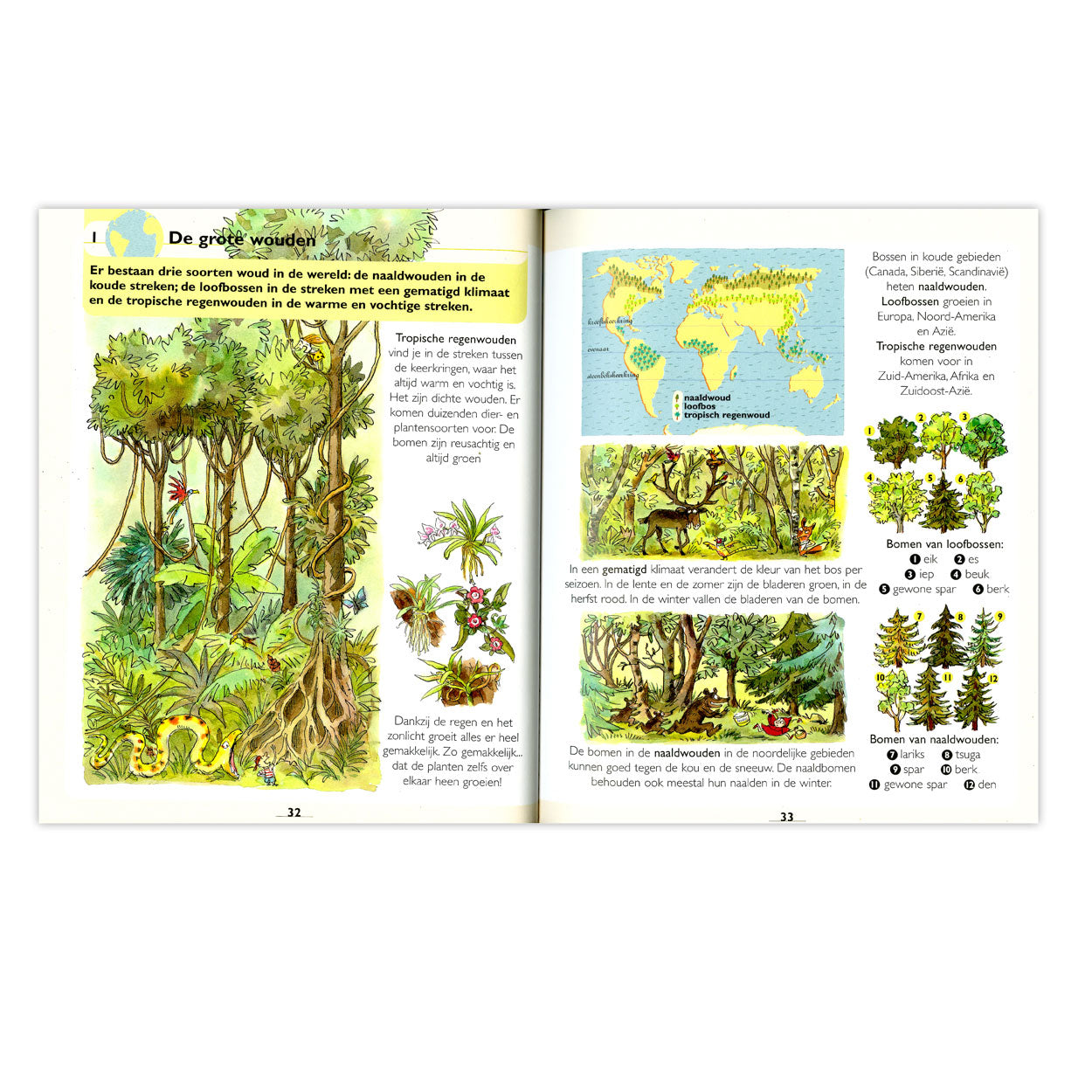 Premier atlas majeur pour les enfants