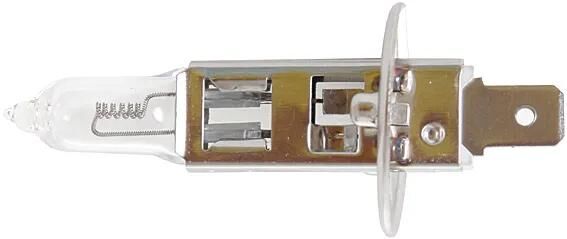 COREXX CAR LAMP H1 55W SOCKET P14.5,