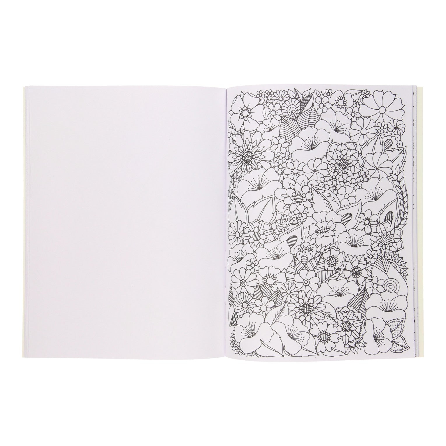 Colorbook Flowers