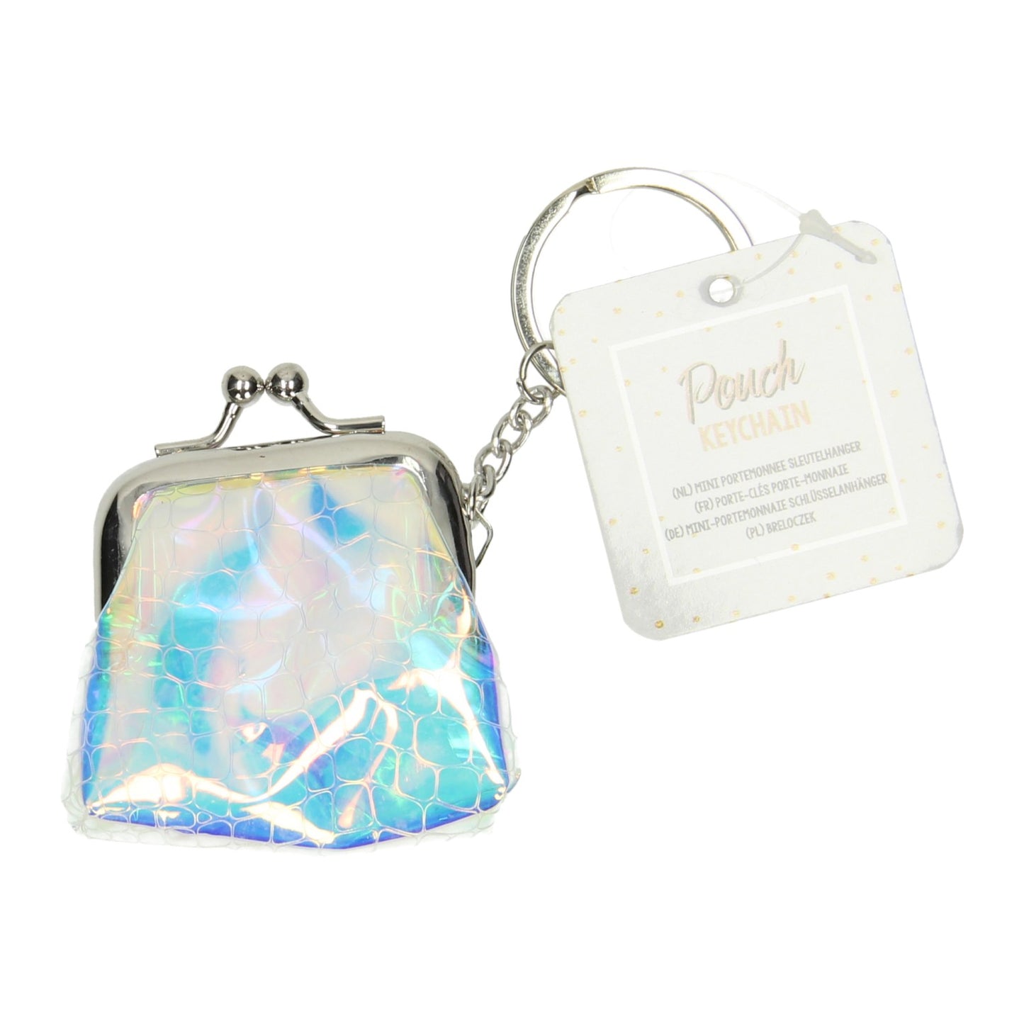 Ganne le portefeuille de clés transparent transparent Holland, ensemble de 12e.