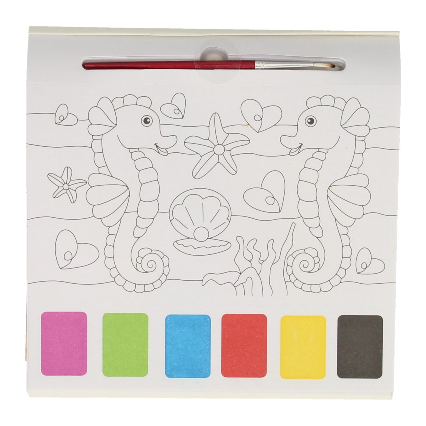 Gagne le bloc de couleur aquarelle holland animaux marins