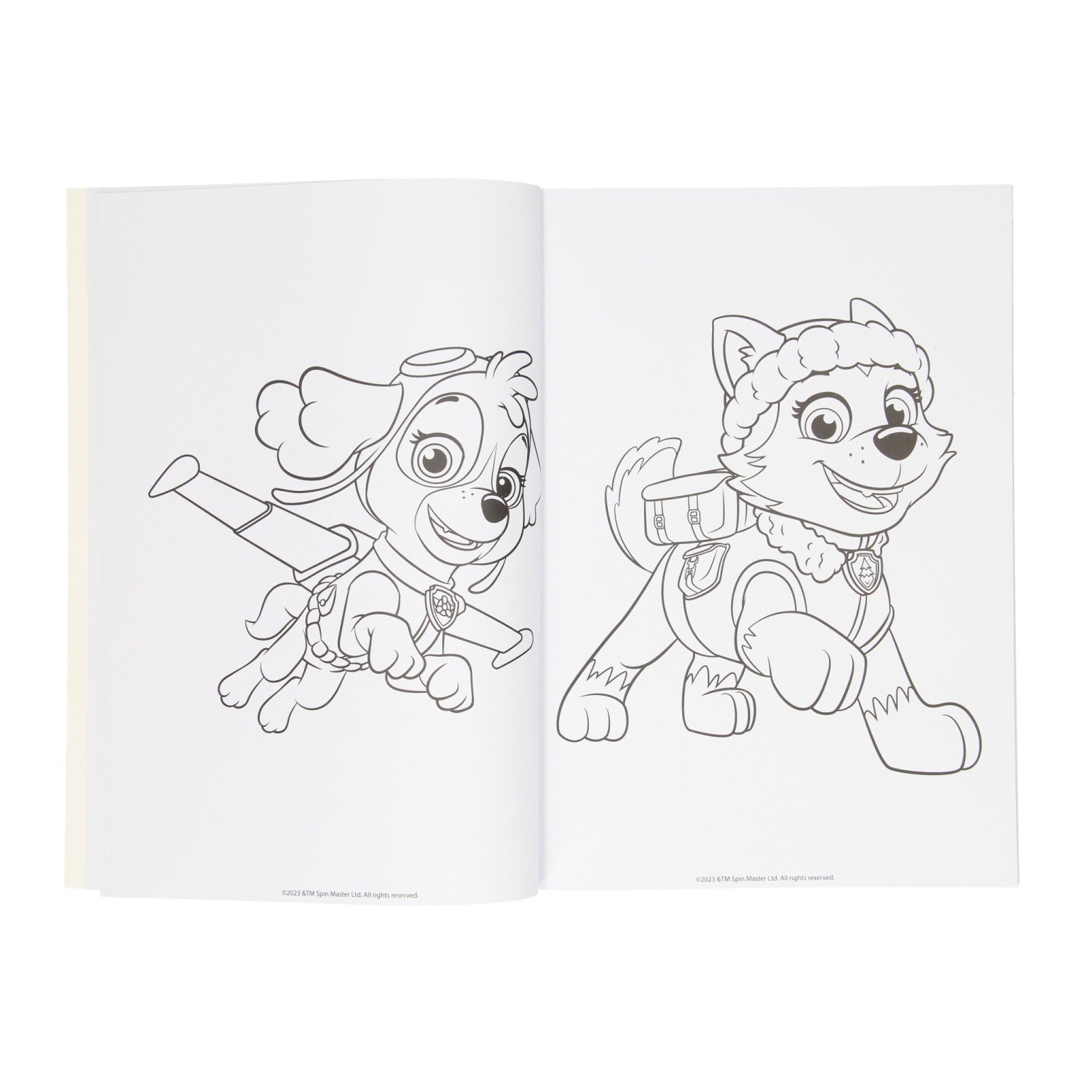 Gagne Holland Colorbook Paw Patrol, 128 PBLZ.
