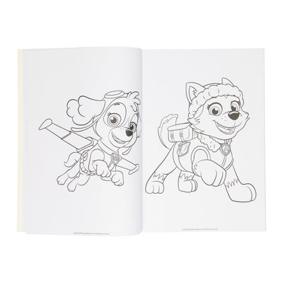 Gagne Holland Colorbook Paw Patrol, 128 PBLZ.