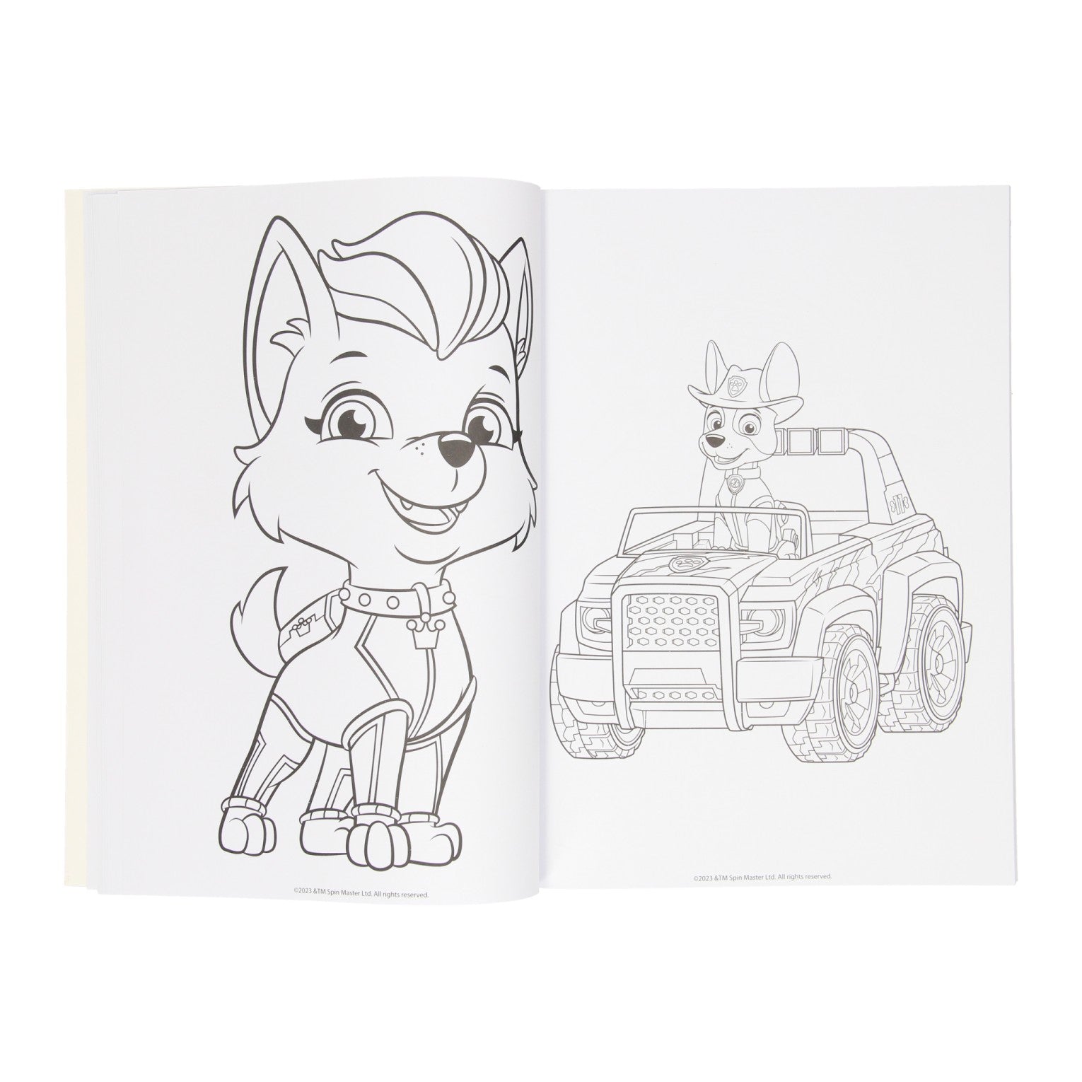Gagne Holland Colorbook Paw Patrol, 128 PBLZ.