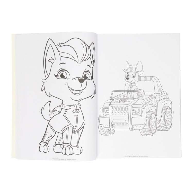 Gagne Holland Colorbook Paw Patrol, 128 PBLZ.