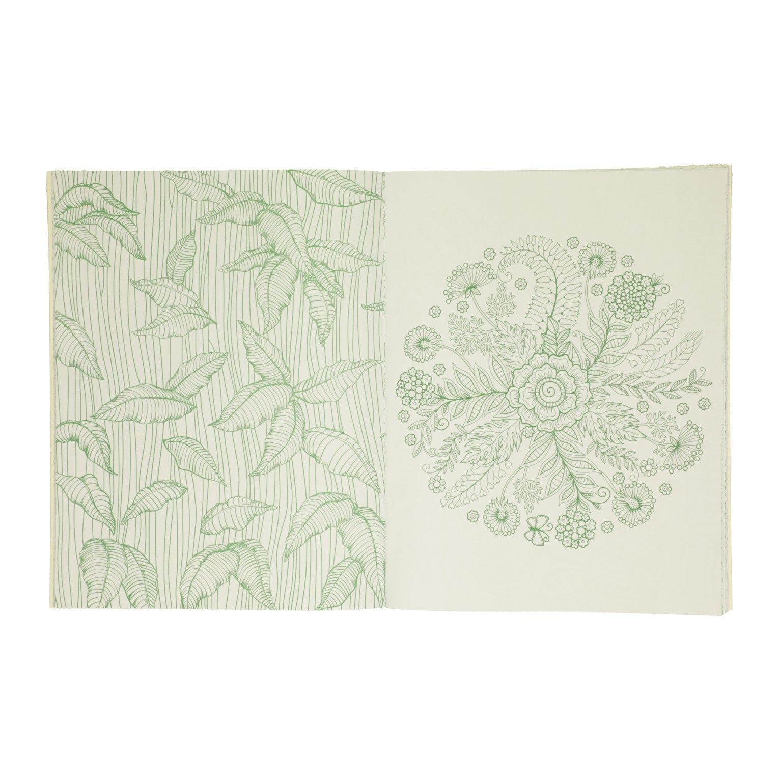 Wins Holland One in One Coloring Book Green