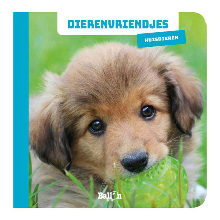 Gagne le livre de bord des amis des animaux de Hollande, animaux de compagnie