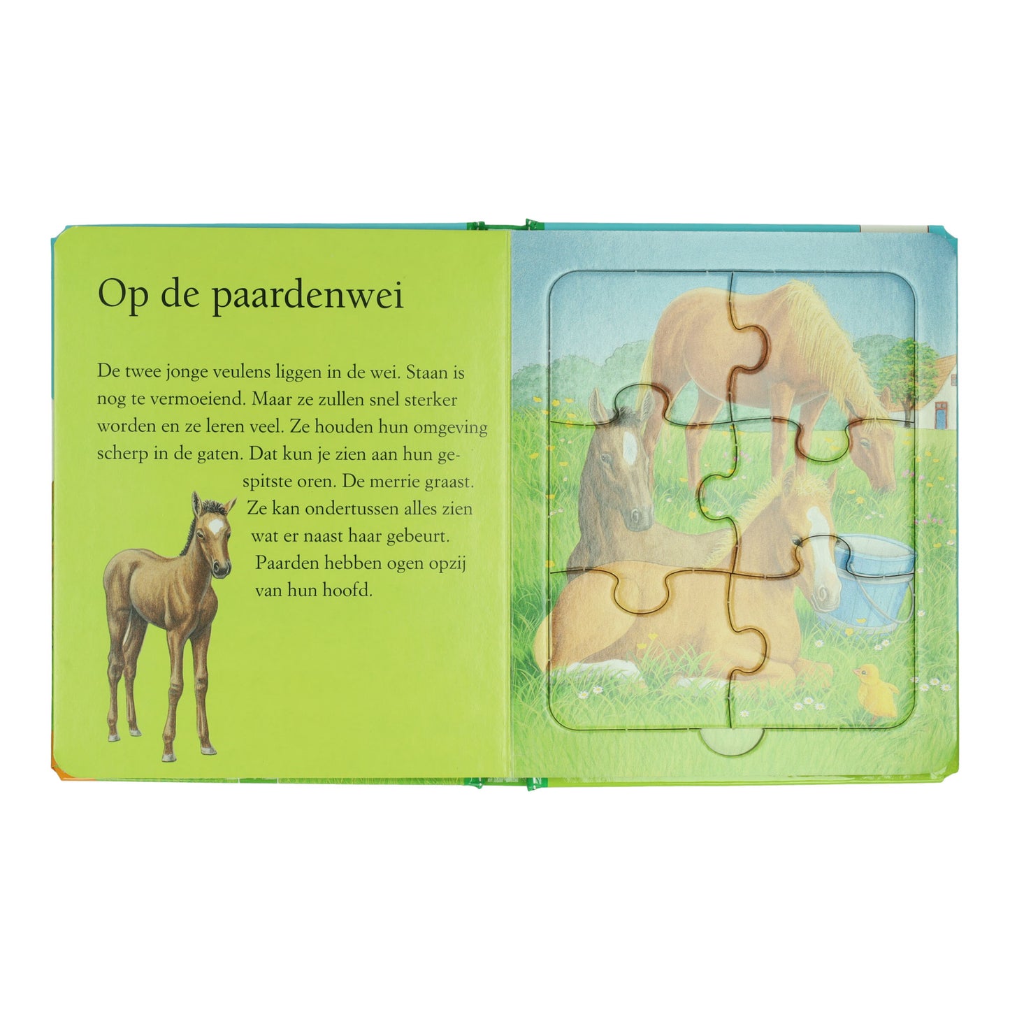 Wins Holland puzzle book farm - 5 puzzles