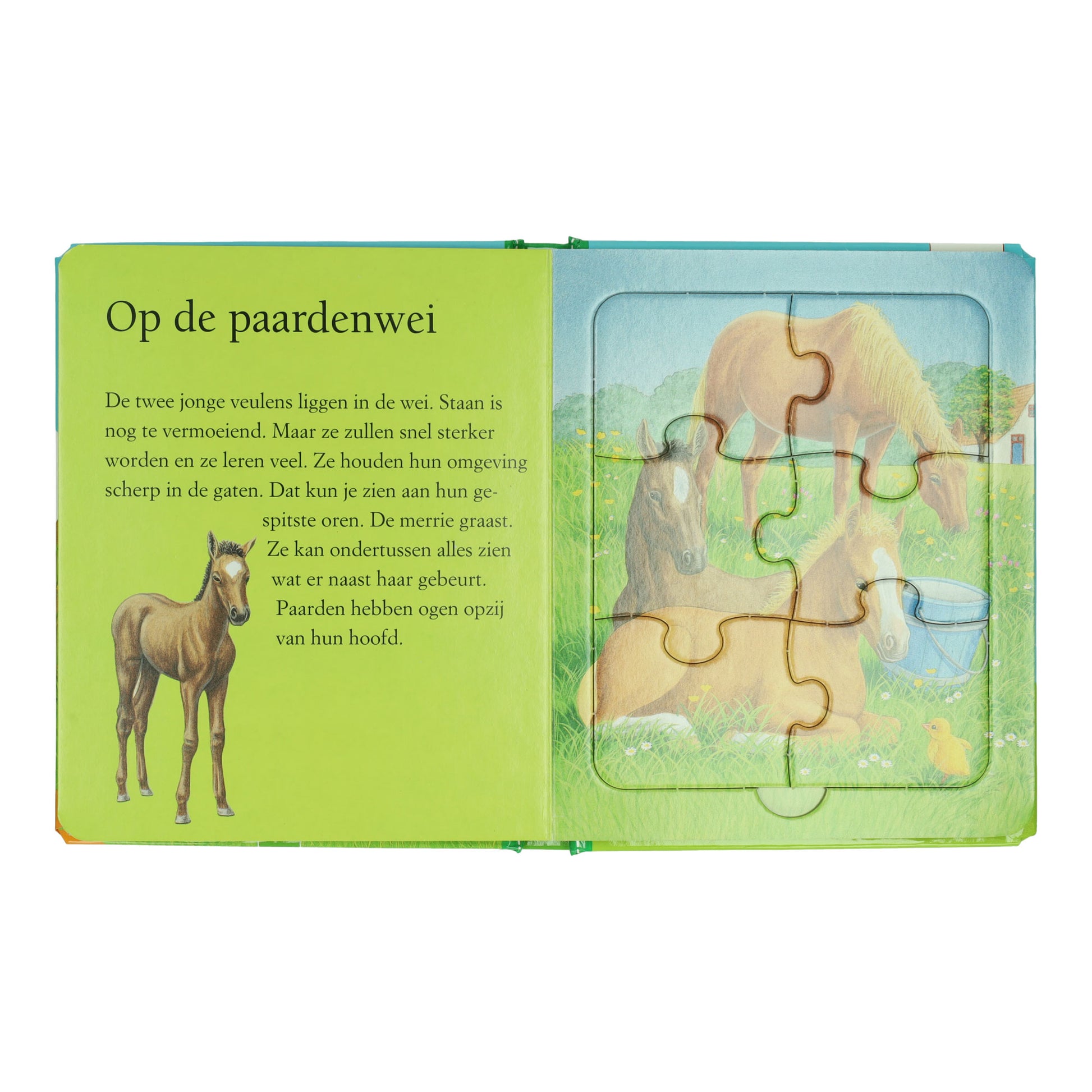 Wins Holland puzzle book farm - 5 puzzles