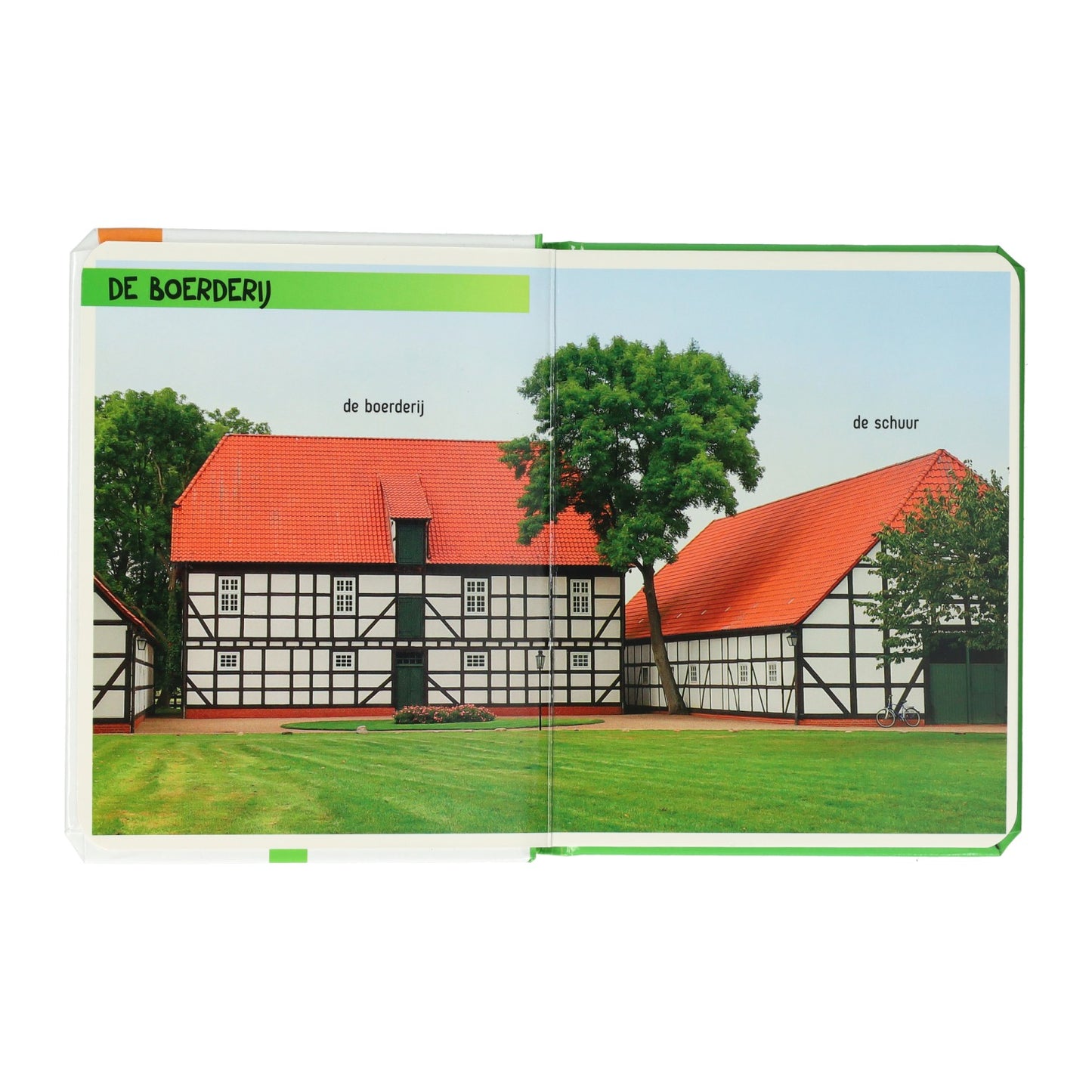 Wins Holland, regarde, que vois-tu là-bas ? la ferme