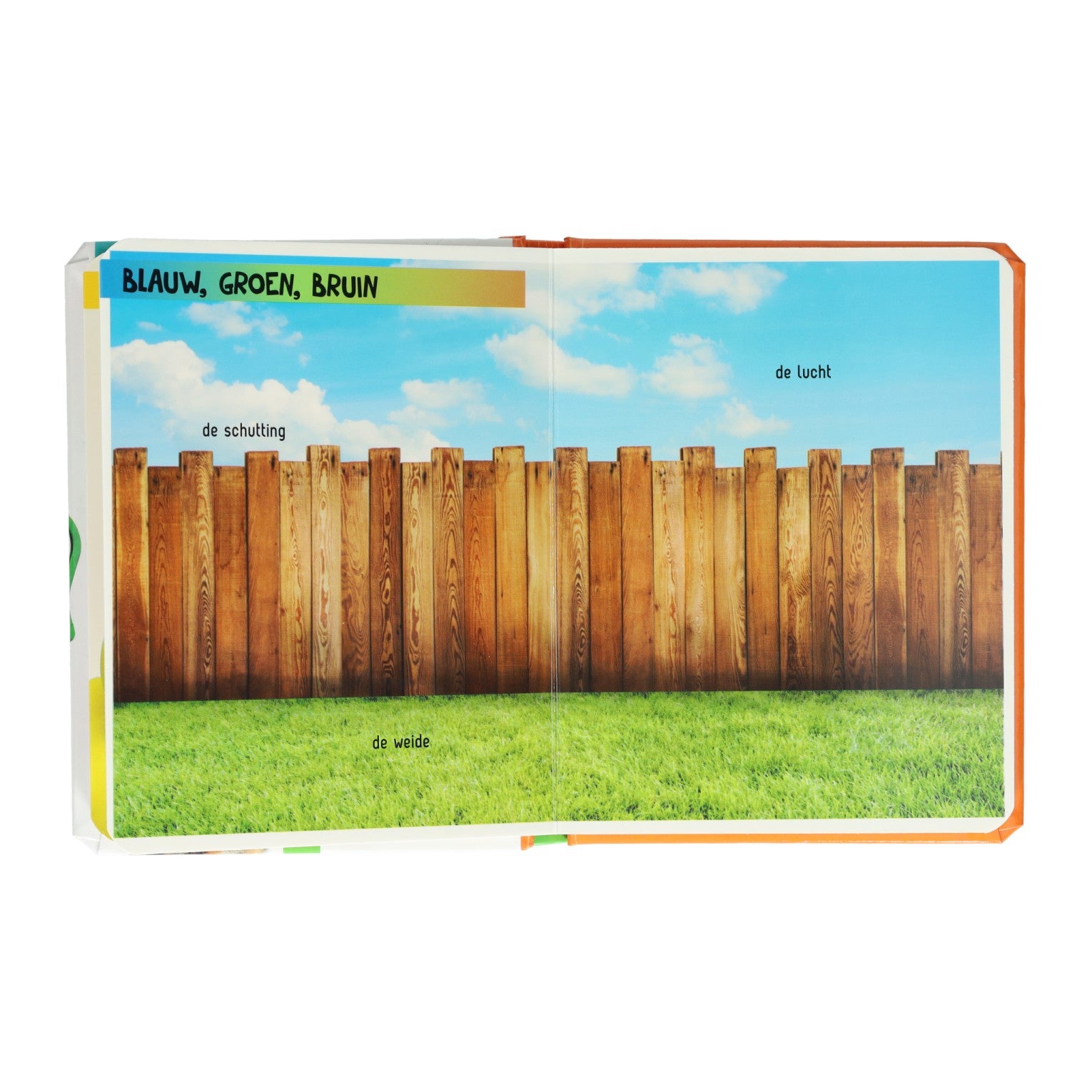 Wins Holland, regarde, que vois-tu là-bas ? couleurs