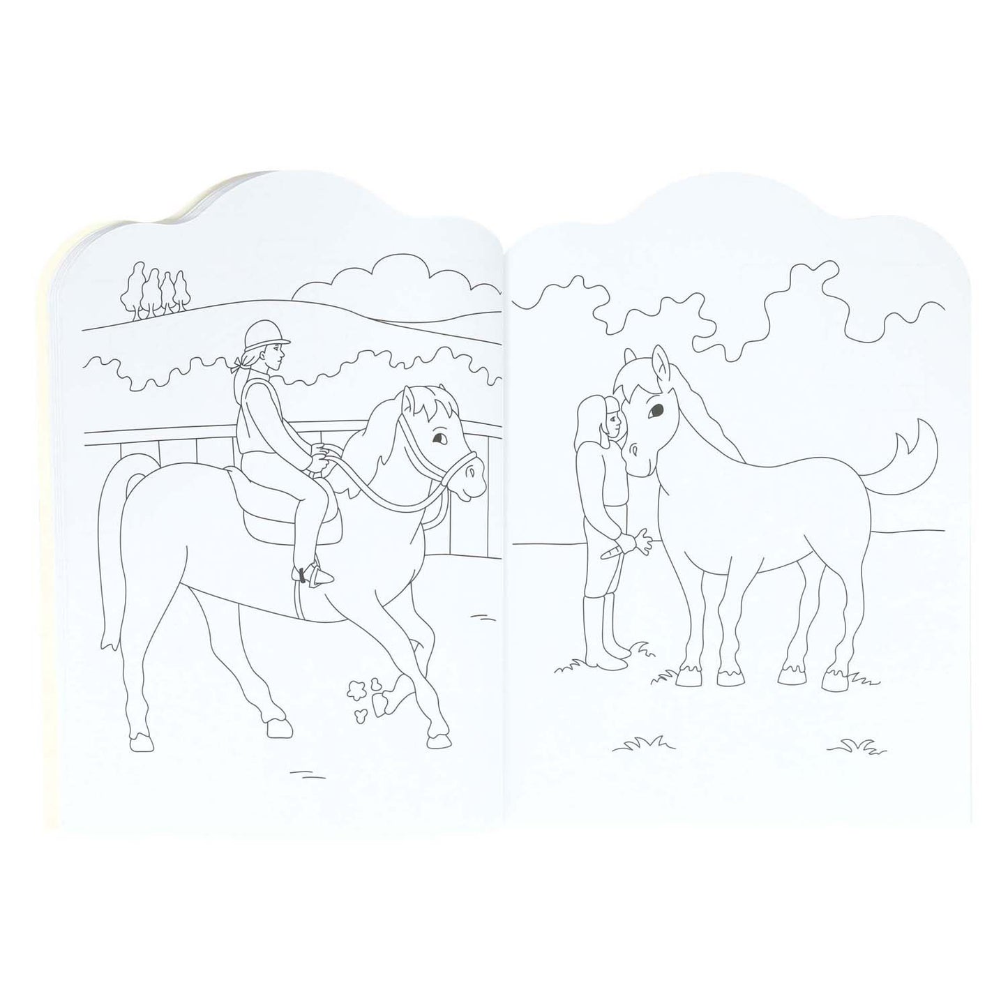 Wins Holland – livre de coloriage pour enfants, poneys et chevaux, 96 pages