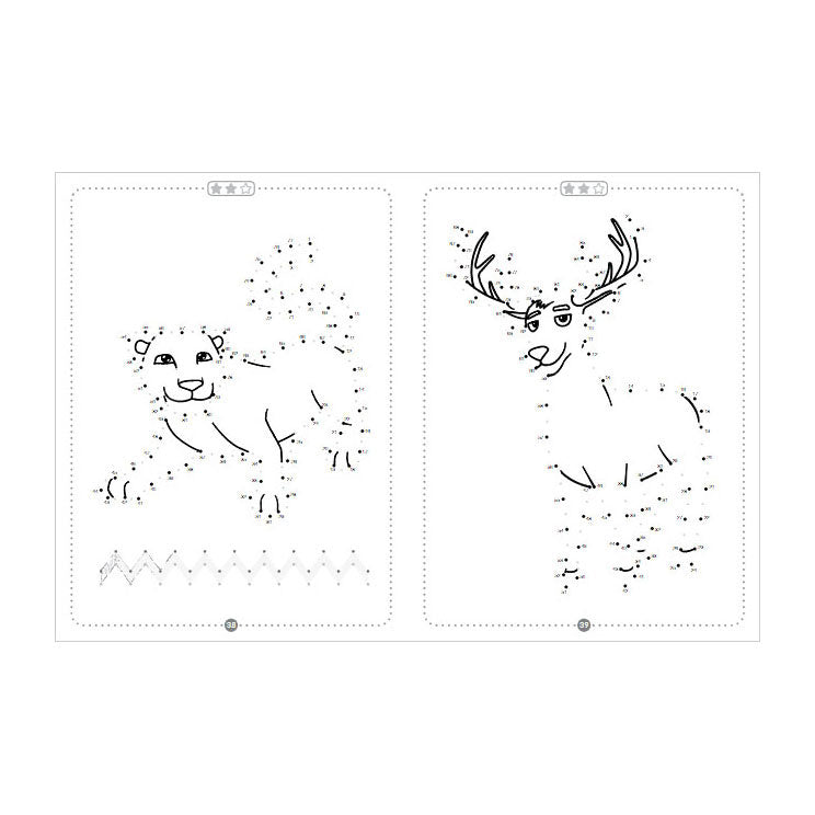 Rebo éditeurs animaux - livre de dessin point à point