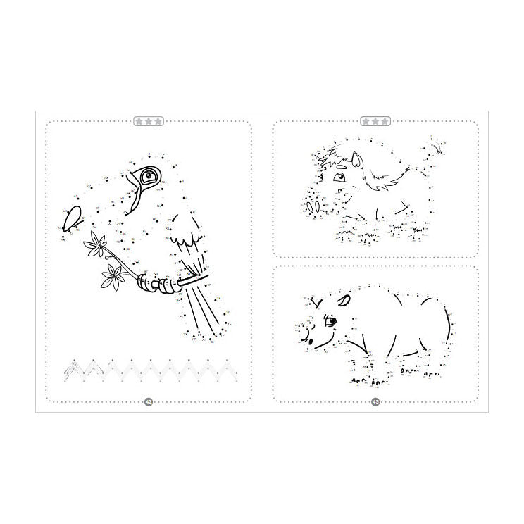 Rebo éditeurs animaux - livre de dessin point à point