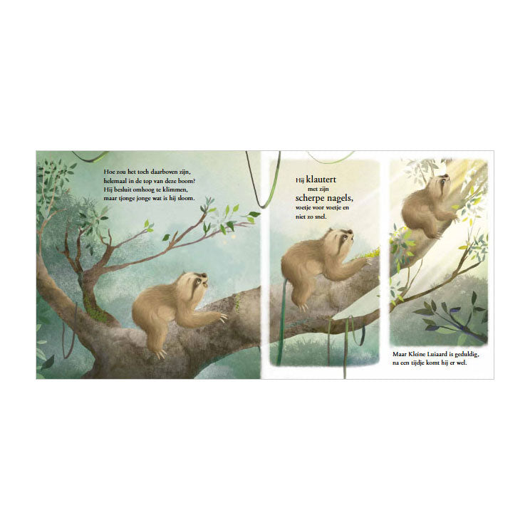 Livre de contes : Petit paresseux. 2+
