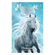 Rebo éditeurs moonlight riders 2 - cheval de tempête