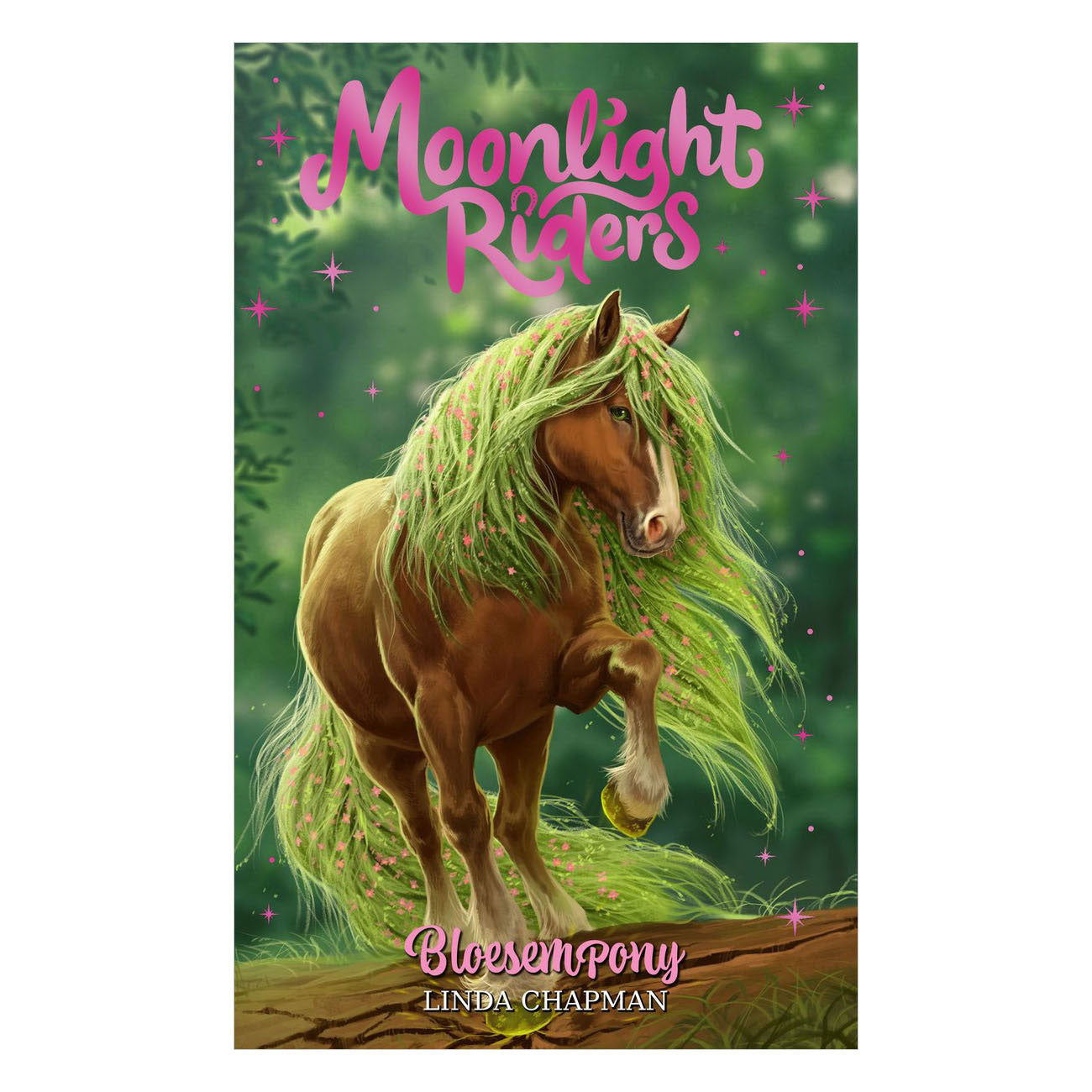 Rebo Publishers Moonlight Riders 3 - Poney fleuri