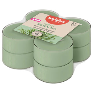 Bolsius maxilights tasse transparente 8h vrais parfums romarin | 6 pièces