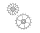 Roues de dérailleur à billes Sram cross 14 18t transmission gris