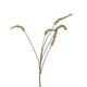 Branche d'art Astilbe Oslo Gold 102 cm