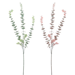 No brand spray eucalyptus l 78cm | 12 pièces