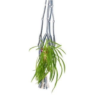 Dans la collection d'humeur support de pot macrame bleu 110 cm