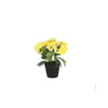 Violette en pot en plastique env. 21cmh couleurs assorties | 4 pièces